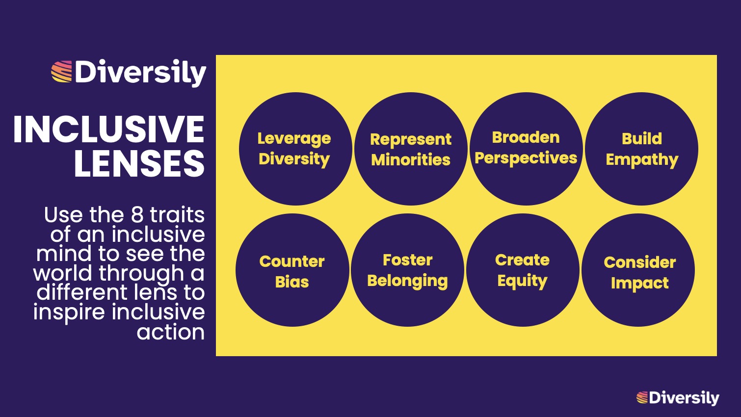 The 8 Diversily Lenses